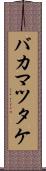 バカマツタケ Scroll