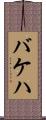 バケハ Scroll