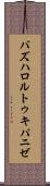 バズハロルトゥキパニゼ Scroll