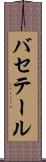 バセテール Scroll