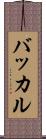 バッカル Scroll