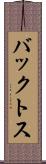 バックトス Scroll