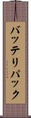 バッテリパック Scroll