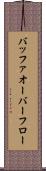 バッファ・オーバーフロー Scroll