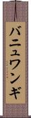 バニュワンギ Scroll