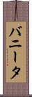 Bernita Scroll