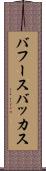 バフース Scroll