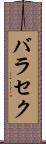 バラセク Scroll
