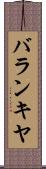 バランキヤ Scroll