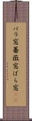 バラ窓 Scroll