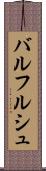 バルフルシュ Scroll