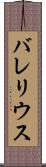 バレリウス Scroll