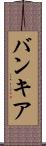 バンキア Scroll