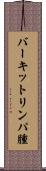 バーキットリンパ腫 Scroll