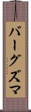 バーグズマ Scroll