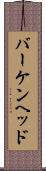 バーケンヘッド Scroll