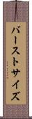 バーストサイズ Scroll