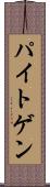 パイトゲン Scroll