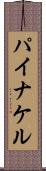 パイナケル Scroll