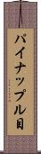 パイナップル目 Scroll