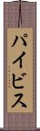 パイビス Scroll