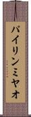 パイリンミヤオ Scroll