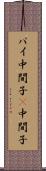 パイ中間子 Scroll