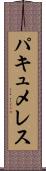 パキュメレス Scroll
