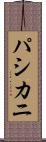 パシカニ Scroll