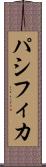 パシフィカ Scroll