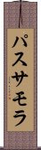 パスサモラ Scroll