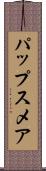 パップスメア Scroll