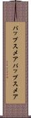 パップスメア Scroll