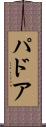 パドア Scroll