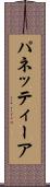 パネッティーア Scroll