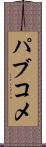 パブコメ Scroll