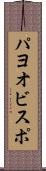 パヨオビスポ Scroll
