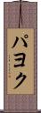 パヨク Scroll
