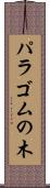 パラゴムの木 Scroll