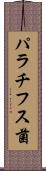 パラチフス菌 Scroll