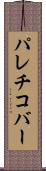 パレチコバー Scroll
