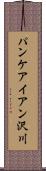 パンケアイアン沢川 Scroll