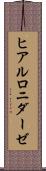 ヒアルロニダーゼ Scroll
