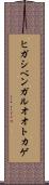 ヒガシベンガルオオトカゲ Scroll