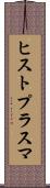 ヒストプラスマ Scroll