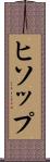 ヒソップ Scroll