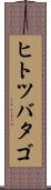 ヒトツバタゴ Scroll