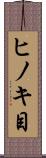 ヒノキ目 Scroll