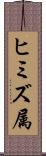ヒミズ属 Scroll