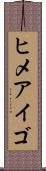 ヒメアイゴ Scroll